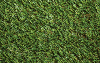 Lido Plus 30mm Artificial Grass