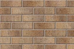 Ibstock 65mm Tay Buff Multi Bricks