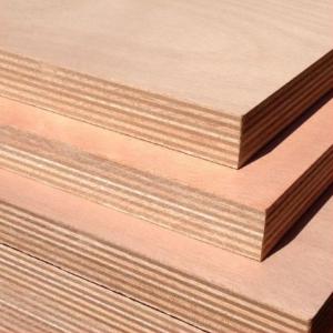 Marine Plywood 2440 x 1220 x 18mm