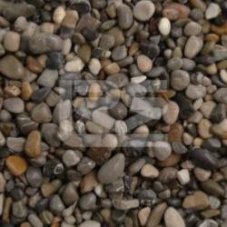 Oyster Pebbles 20mm