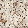 Yorkshire Cream Chippings