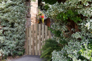 Wooden Garden Gates