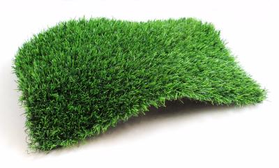 Artificial Grass