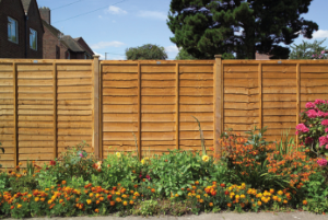 Fence Panels