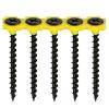 Collated Dry Wall Screws (1000)