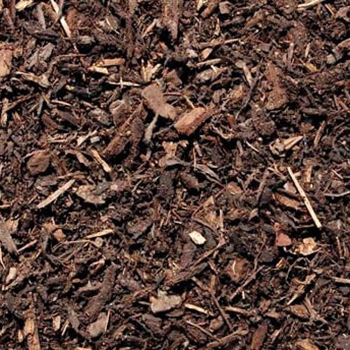Bark