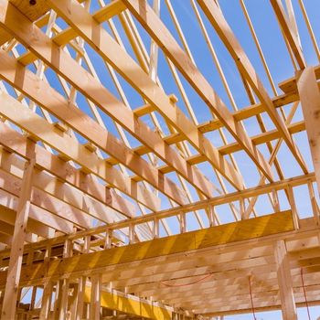 Roof Timbers