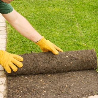 Turf / Bark