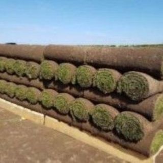 Turf m2 Roll