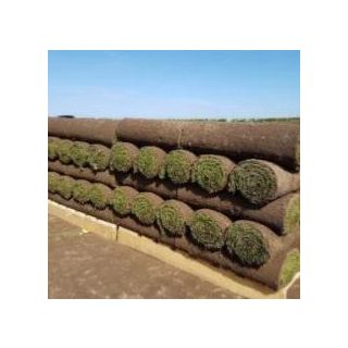 Turf m2 Roll