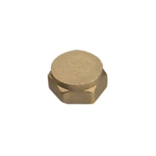 BF300 Brass Cap 1/2 10070227