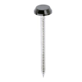 Polymer Headed Pins 50mm - A4 Stainless Steel - Black PN50BL