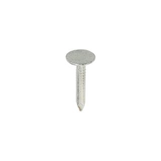 Nails Galvanised Clout ELH 20mm X 2.65mm 1.0kg  GEC20B
