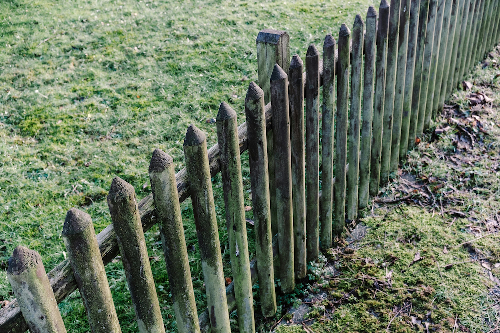 A fence in a garden